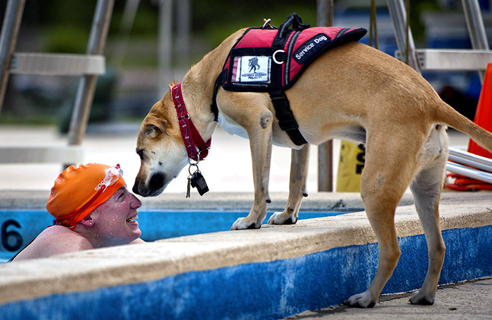 service dog greeting a swimmer